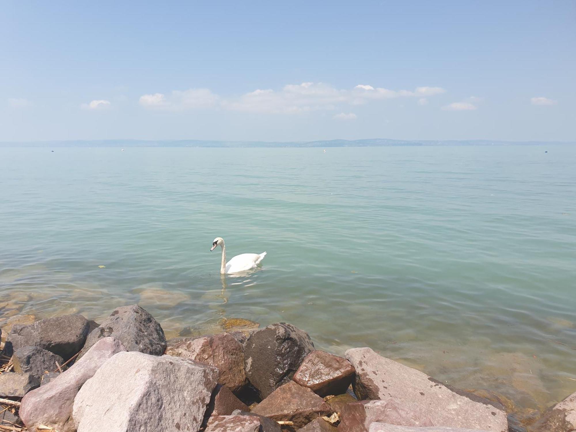 Balaton Lakeside Residence Шіофок Екстер'єр фото